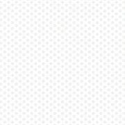 Polked Again - Silver