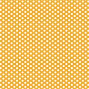 Polked Again - Sunset