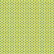 Polked Again - Lime Tonic