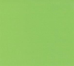 Moda - Bella Solids - Lime 9900 75 Moda No.1
