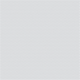 TULA PINK GRAYWORK - KINDA SHADY - WHISPER