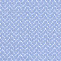 Skulls Printed Cotton - Light Blue