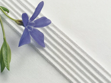 Husqvarna Machine Feet: PINTUCK 7 GROOVE - H4123628-45