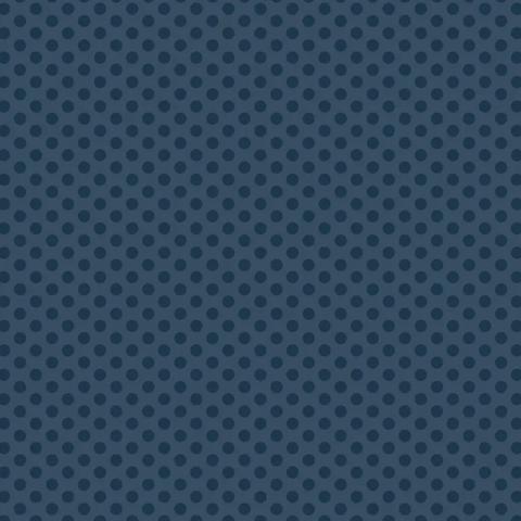 Polked Again - Navy
