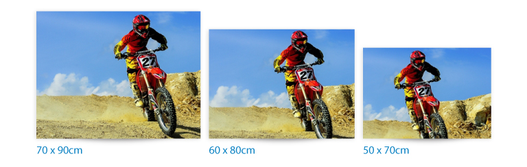 Diamond dotz Painting