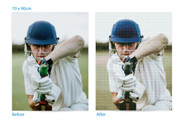 Diamond Painting cricket sample